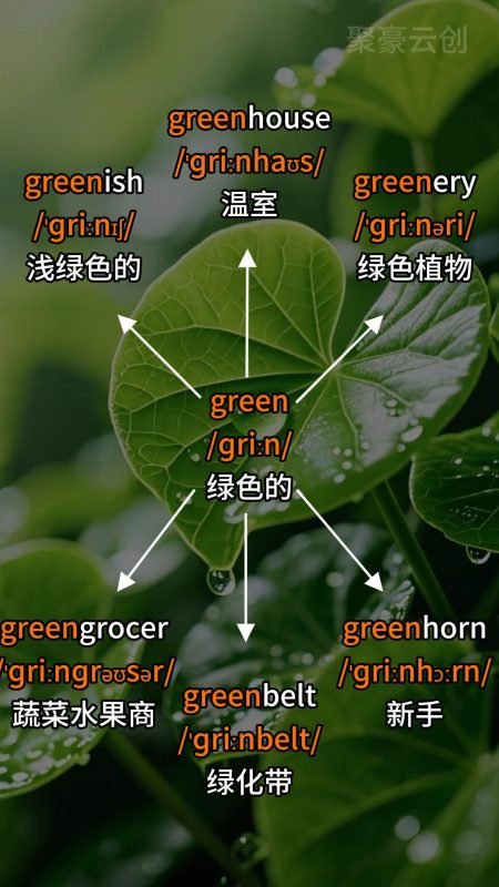 单词学习短视频自动生成工作流｜一键生成英语词根教学视频